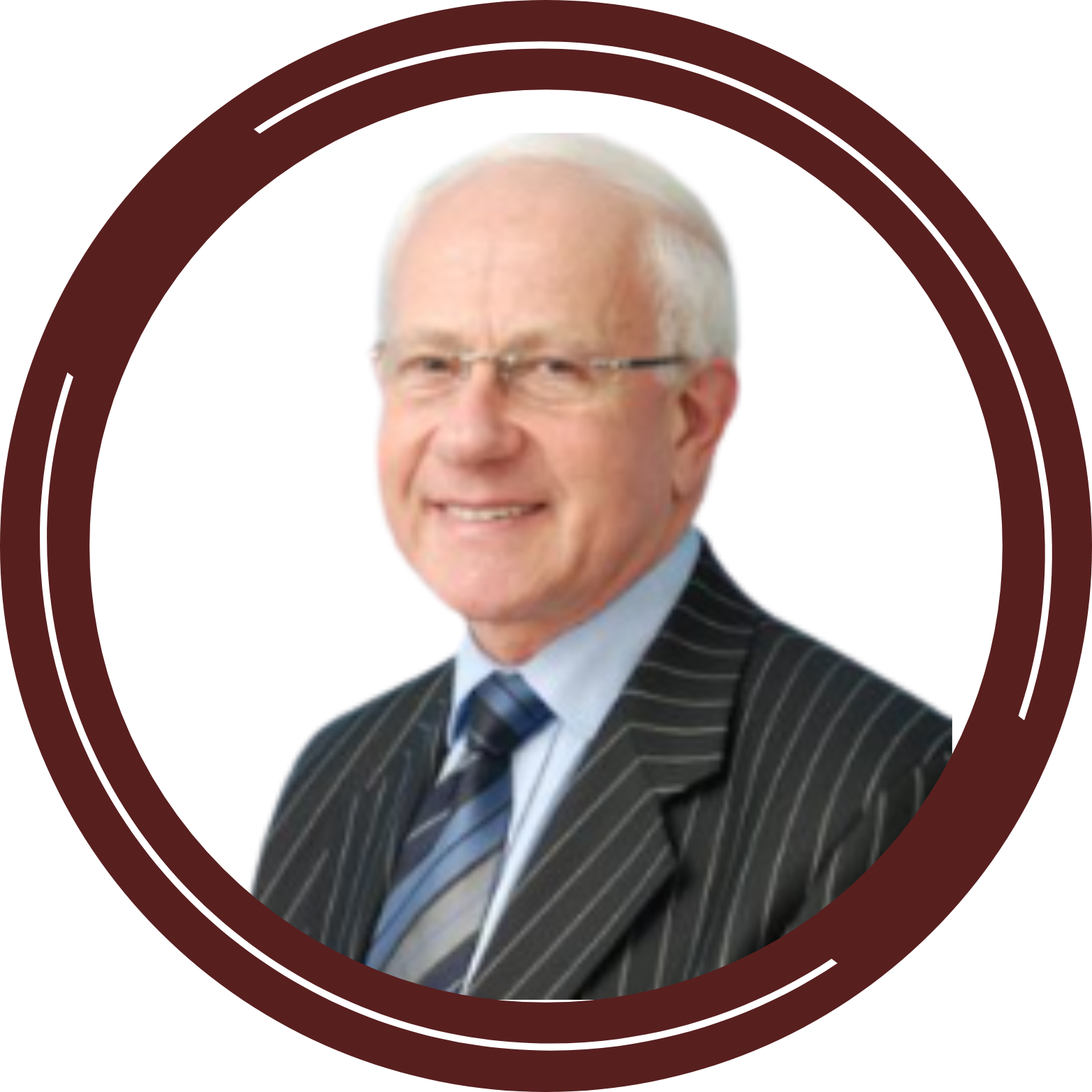 Michael Judin Safeguard, promote and represent icon